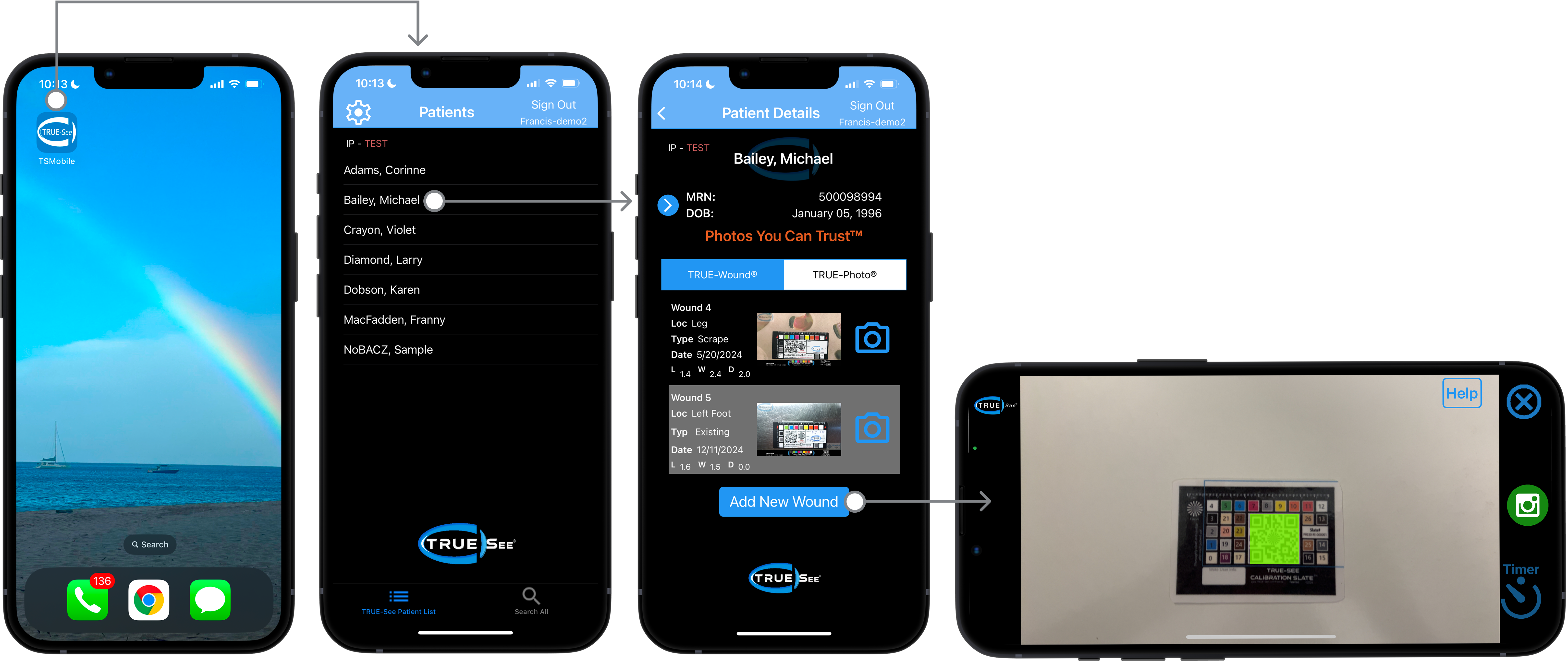 TRUE-See Core Workflow Visual